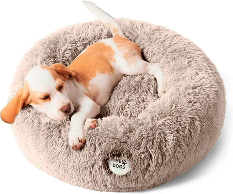 Cama de Mascotas RelaxyTime™🐶🐱