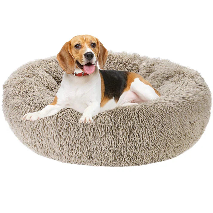 Cama de Mascotas RelaxyTime™🐶🐱